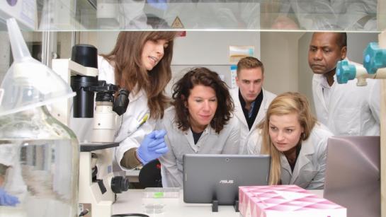 Onderzoekers gebogen over een computer